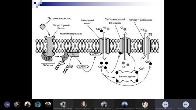 Сделай Себя Лучше