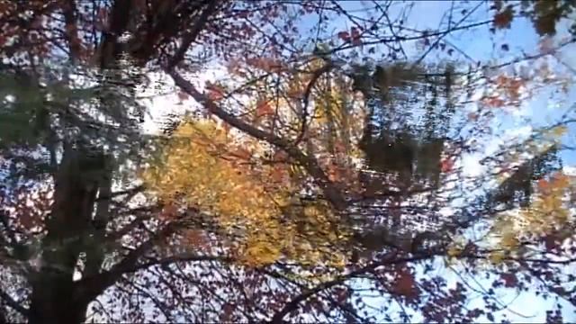 ОСЕННЕЕ КАРАОКЕ. Вальс Бостон. смотреть онлайн