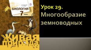 Урок 29. Многообразие земноводных