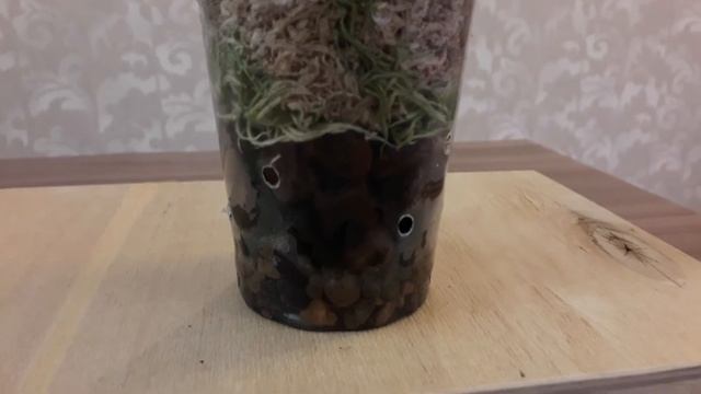 11.01.21 Уценки из Оби(часть 3) смотреть онлайн