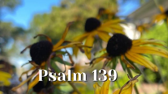 Psalm. 139 смотреть онлайн