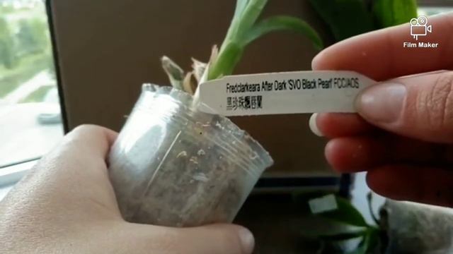 31. Я В ЛЁГКОМ ШОКЕ! / НОВАЯ ПОСЫЛКА! смотреть онлайн