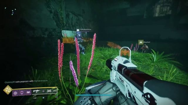Destiny 2: How to Get the DIVINITY Exotic Raid Trace Rifle! | Shadowkeep смотреть онлайн