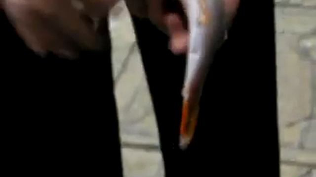 АВТОМАТИЧЕСКАЯ ЧИСТКА РЫБЫ. смотреть онлайн