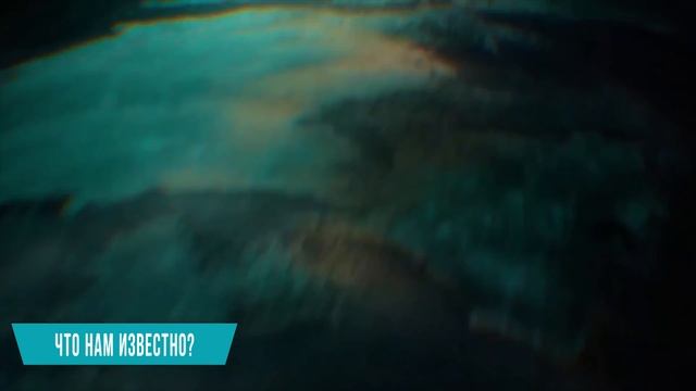 Этого Мужчину Проглотил Кит, Но то Что Произошло Дальше Поразило Всех смотреть онлайн