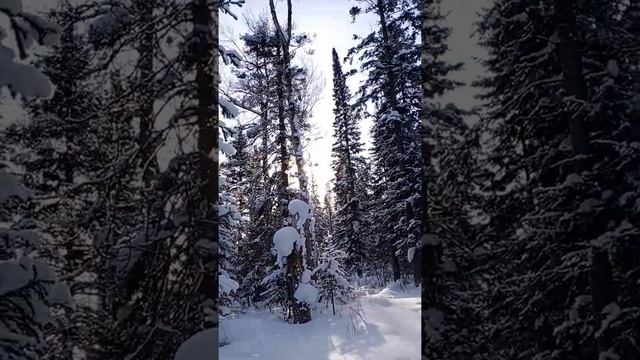 Стелс Викинг 600 везёт. смотреть онлайн
