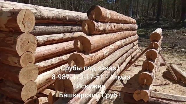 Сруб 6х8 с внутренними перегородками! курорт Красноусольский ! смотреть онлайн