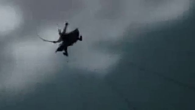 Catharsis - Hold Fast