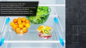 Холодильник Hisense RB440N4BC1 (RB440N4BW1)