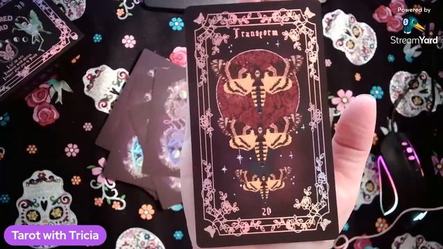 Just talking about these cool decks I'll be using for upcoming readings. смотреть онлайн