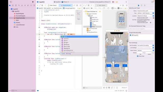 Загружаем картинку из Интернета в Image View в Swift. Xcode. смотреть онлайн