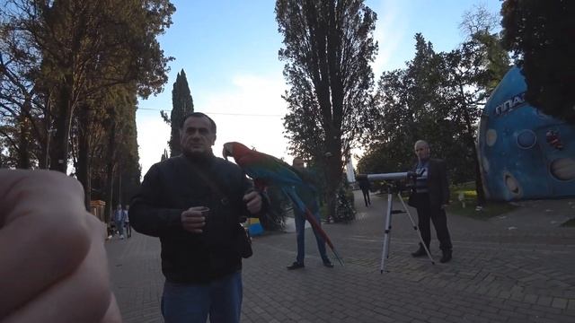 Сочи. Прогулка на катере. Пингвинарий. Хиромант. смотреть онлайн