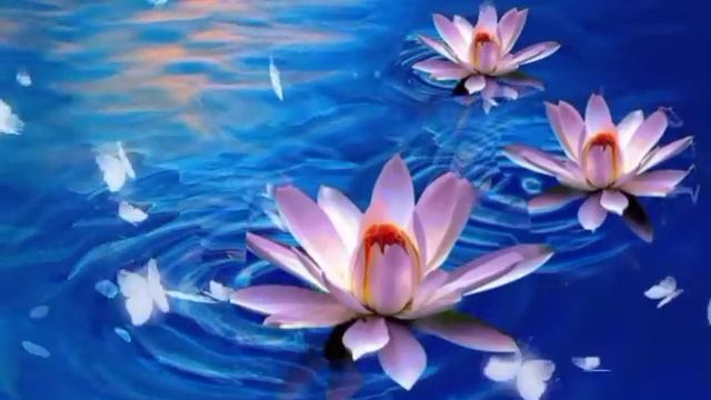 लॉकडाऊन् मध्ये घरात कोंडून राहिले | смотреть онлайн