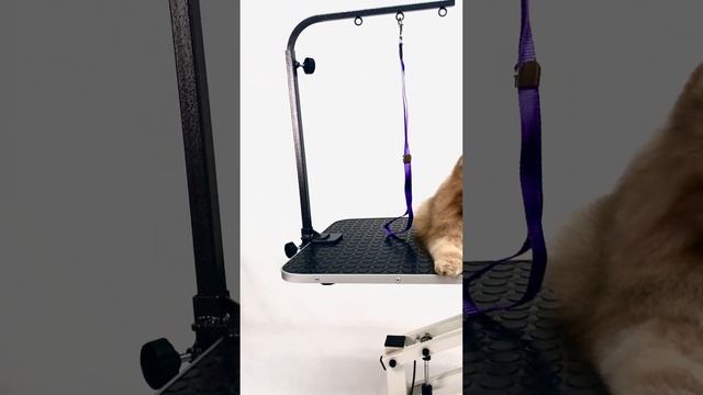 Стол для груминга wikiGROOM S4 на пневмоподъёмнике прямоугольный #grooming #грумер смотреть онлайн