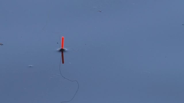 Карповая рыбалка на поплавок в полводы на "волос"(волосяная оснастка)!Три варианта подачи насадки! смотреть онлайн