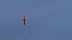 Карповая рыбалка на поплавок в полводы на "волос"(волосяная оснастка)!Три варианта подачи насадки!