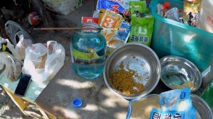 суппер уловистое тесто для херабуны .сазан,карп,амур