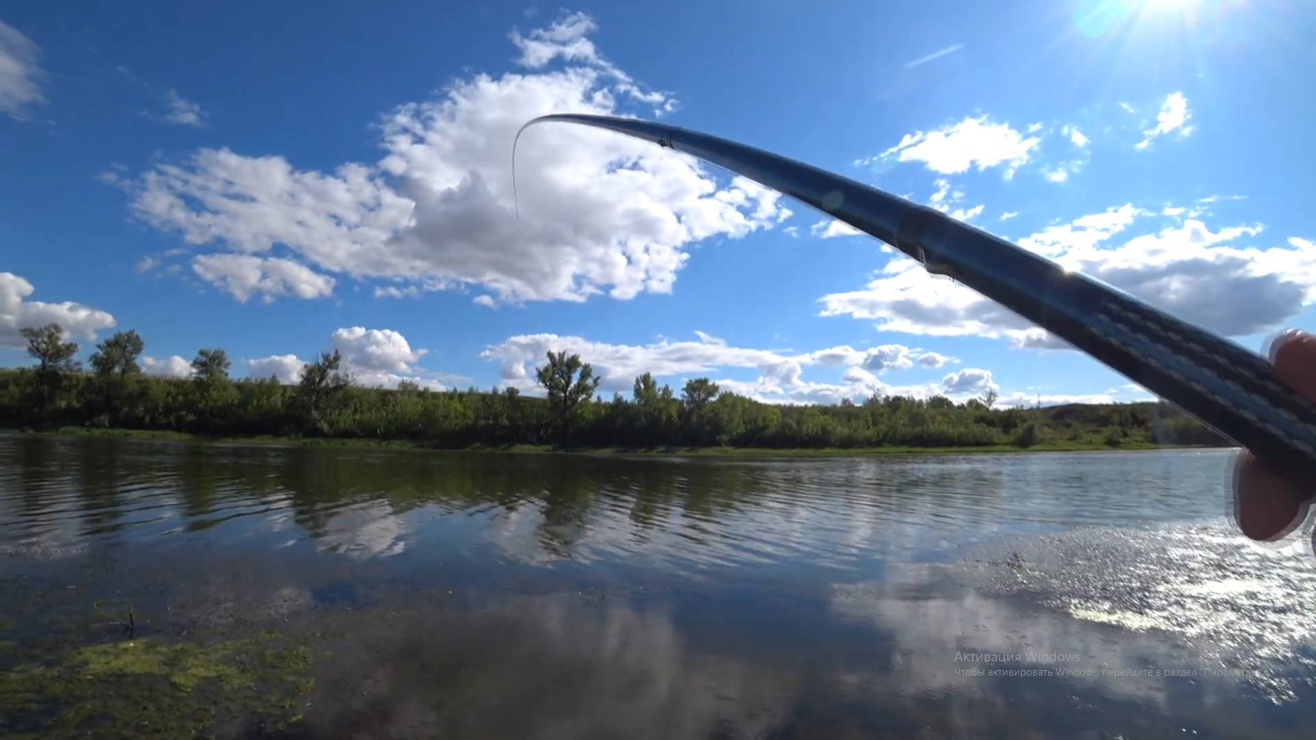 В ЭТИХ ЗАРОСЛЯХ СТОИТ ВСЯ РЫБА! Рыбалка на поплавок смотреть онлайн