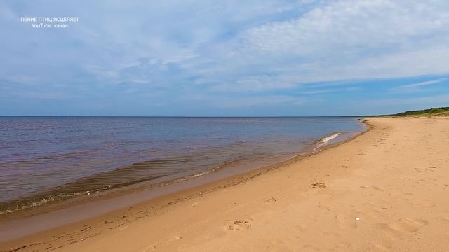 ШУМ МОРСКОЙ ВОЛНЫ,КРИКИ ЧАЕК УСПОКАИВАЮТ НАШУ НЕРВНУЮ СИСТЕМУ.ТЕЛО И ДУША ОТДЫХАЮТ ОТ ТРЕВОГ ДНЯ. смотреть онлайн