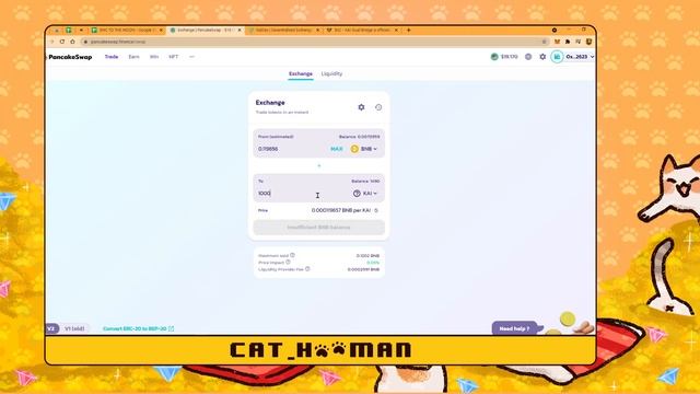 Transfer your funds from BSC to KARDIA || KaiDex Bridge (ENGLISH) смотреть онлайн