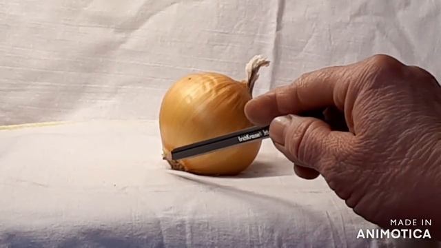 рисунок овощей мягким материалом смотреть онлайн