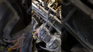 Замена маслосъёмных колпачков Серато/ Солярис без съёма гбц