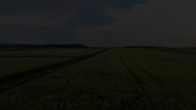 Лето, Поле,пение птиц