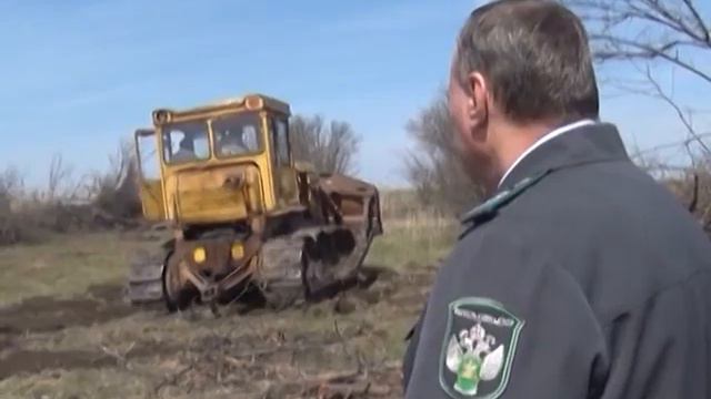 МОНИТОРИНГ МНОГОЛЕТНИХ НАСАЖДЕНИЙ В РОСТОВСКОЙ ОБЛАСТИ смотреть онлайн