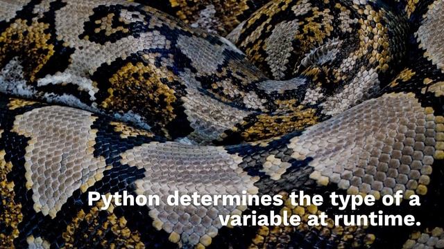 Features of Python || 2 minutes python || Become hero from zero смотреть онлайн