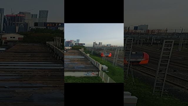 20230729_Москва Сити смотреть онлайн