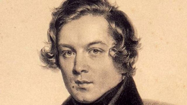 Schumann. Carnaval Op. 9 "German Waltz" Played by Alexander Ardakov смотреть онлайн