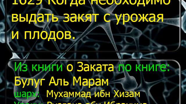 1629 Когда необходимо выдать закят с урожая и плодов