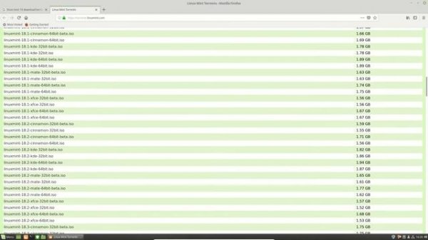 Linux Mint 19: how to Download