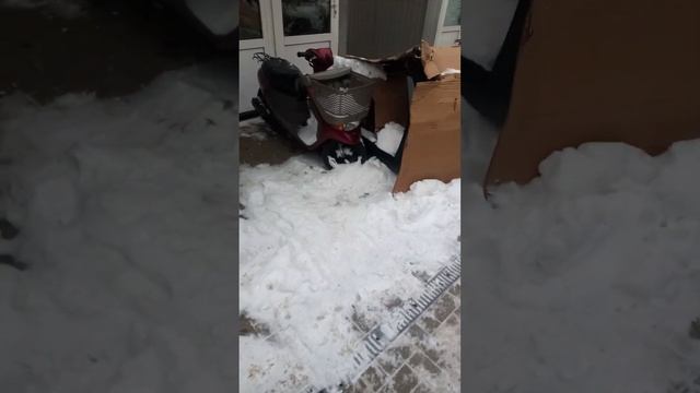 мото Техника СКУТЕРА смотреть онлайн