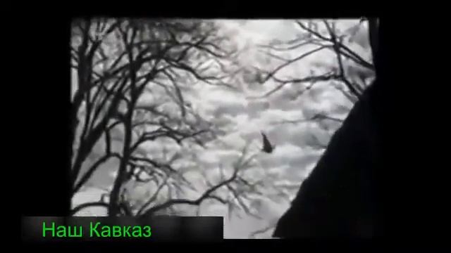 Чеченский Мула смотреть онлайн