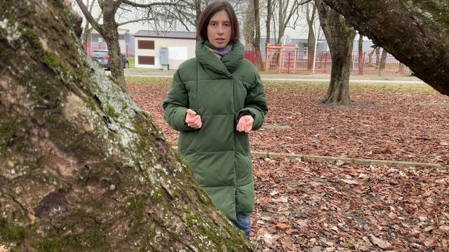 Ромашка Римская #эфирноемасло Свойства. Применение. Плюсы и минусы. Личный опыт. смотреть онлайн