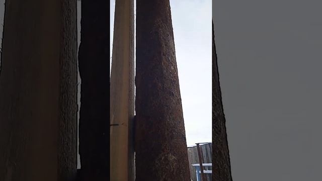 стена от снега . дом в деревне. деревенский навес.ежедневные хлопоты. сибирь. смотреть онлайн