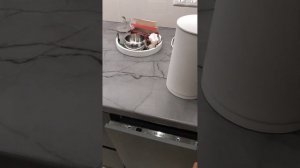 Кухня-гостиная 20м , кухня с фасадами Evogloss