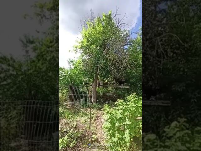 17 июля 2022 г. смотреть онлайн