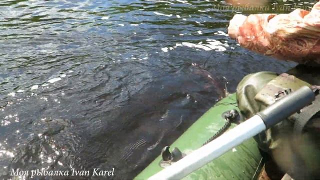 РУЧНАЯ ЩУКА, MANUAL PIKE, смотреть онлайн
