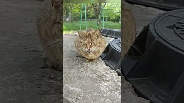 А какой сегодня день? смотреть онлайн