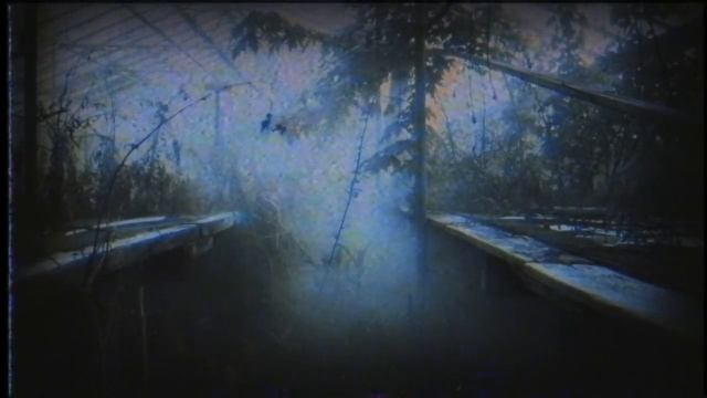 Страшные истории - Живое смотреть онлайн