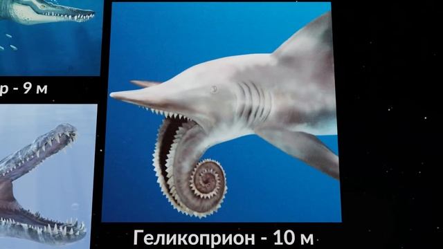 Самые большие подводные монстры | Сравнение размеров смотреть онлайн