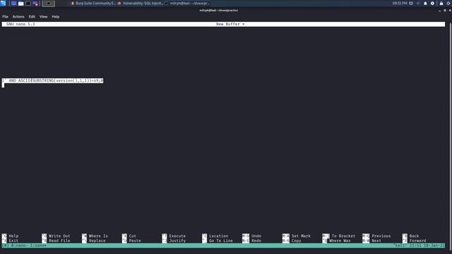 Blind SQL Injection 0x1 - DVWA (Easy) смотреть онлайн