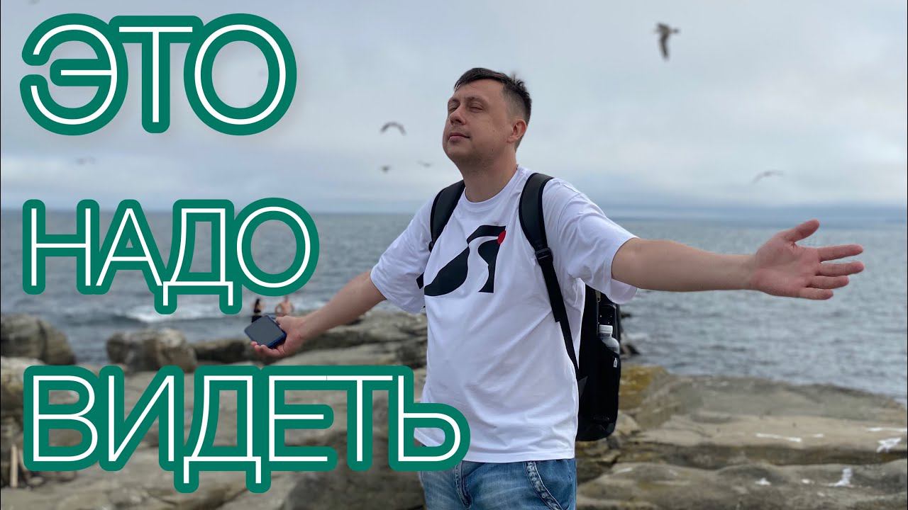 Море / Зелень / Птицы / Змеи / Отпуск во Владивостоке часть 4 смотреть онлайн