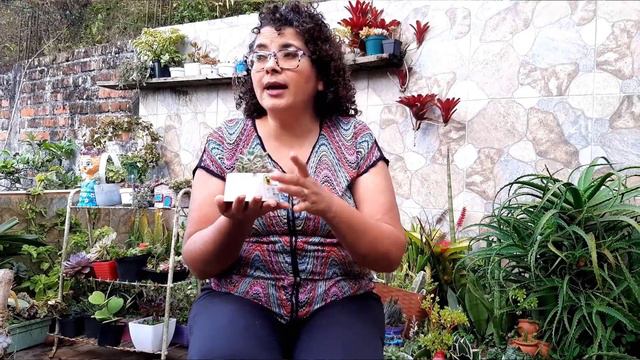 5 TIPS para prevenir y corregir la ETIOLACIÓN смотреть онлайн