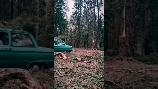 Выезжаем на запорожце ? из глухого леса? #запорожец #заз968м #ретроавто #автоссср #лес #бездорожье смотреть онлайн