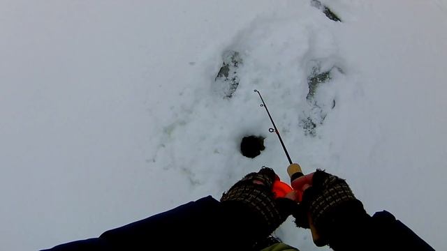 Щука в глухозимье! Балансир & Бокоплав! Бобры не спят!) смотреть онлайн