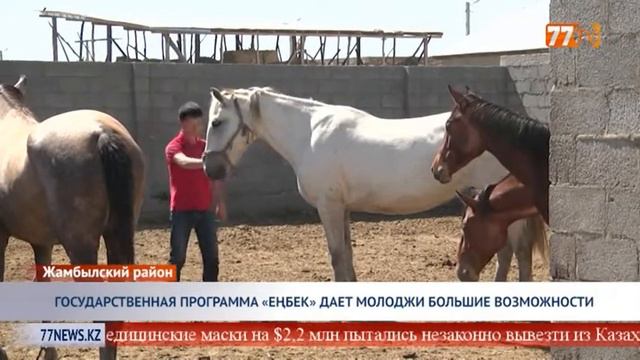 ГОСУДАРСТВЕННАЯ ПРОГРАММА ЕҢБЕК ДАЕТ МОЛОДЕЖИ БОЛЬШИЕ ВОЗМОЖНОСТИ смотреть онлайн