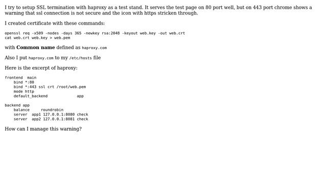 Self-signed certificate for haproxy causes chrome warning of insecure connection смотреть онлайн